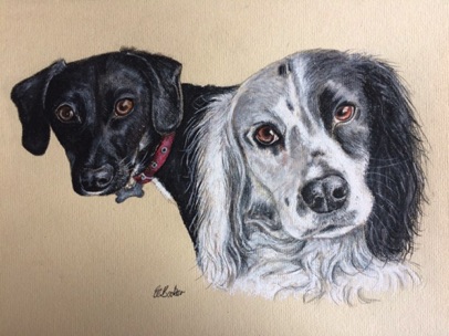 Millie and Willow